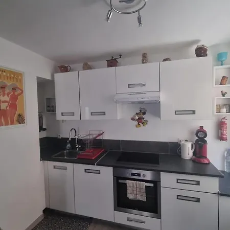 Apartment 43m With Garden Near The Old Port *